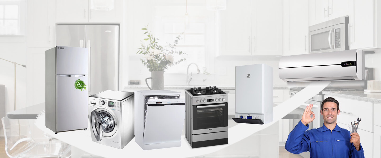 Boyalık Whirlpool Servisi